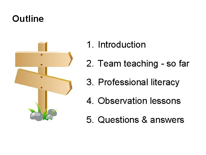 Outline 1. Introduction 2. Team teaching - so far 3. Professional literacy 4. Observation