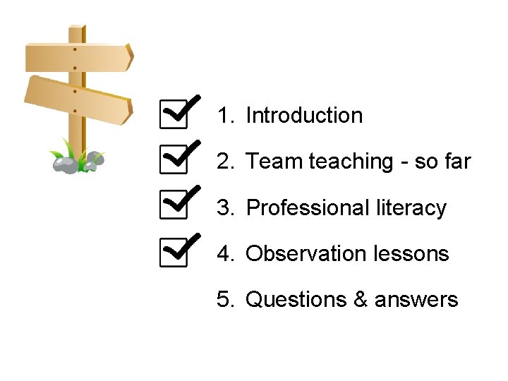 1. Introduction 2. Team teaching - so far 3. Professional literacy 4. Observation lessons