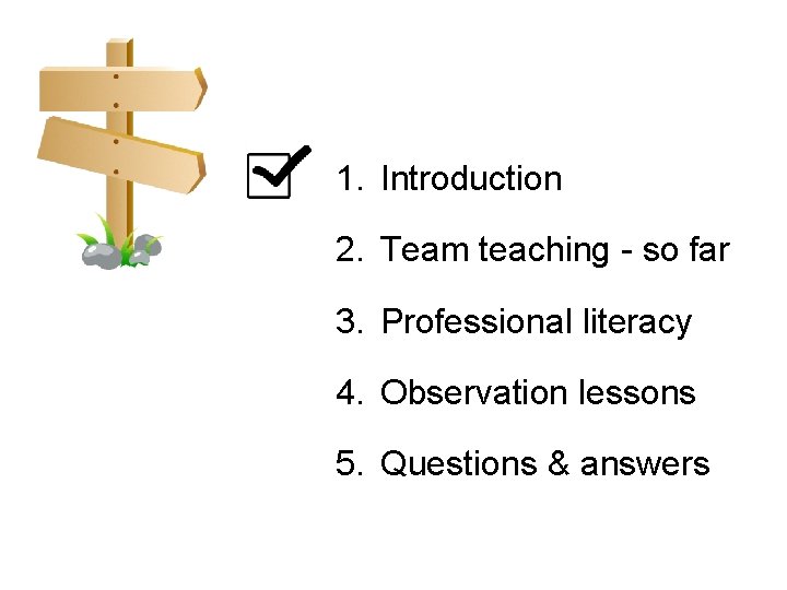 1. Introduction 2. Team teaching - so far 3. Professional literacy 4. Observation lessons