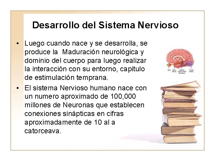 Desarrollo del Sistema Nervioso • Luego cuando nace y se desarrolla, se produce la
