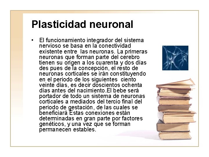 Plasticidad neuronal • El funcionamiento integrador del sistema nervioso se basa en la conectividad