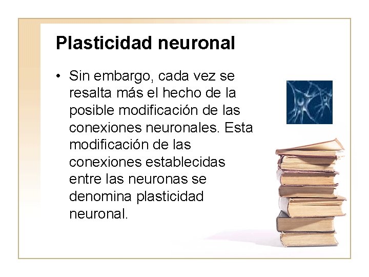 Plasticidad neuronal • Sin embargo, cada vez se resalta más el hecho de la