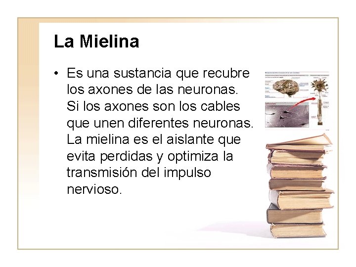 La Mielina • Es una sustancia que recubre los axones de las neuronas. Si
