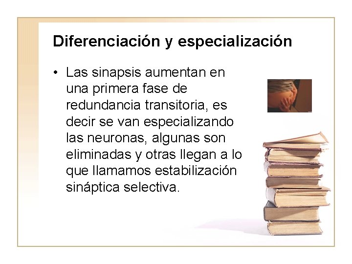 Diferenciación y especialización • Las sinapsis aumentan en una primera fase de redundancia transitoria,