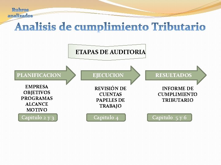 ETAPAS DE AUDITORIA PLANIFICACION EJECUCION EMPRESA OBJETIVOS PROGRAMAS ALCANCE MOTIVO REVISIÓN DE CUENTAS PAPELES