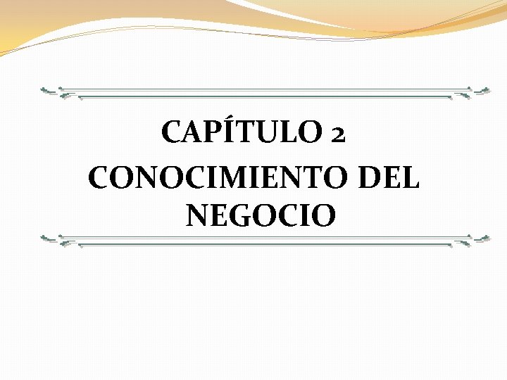 CAPÍTULO 2 CONOCIMIENTO DEL NEGOCIO 