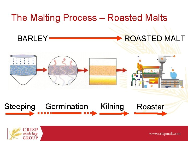 The Malting Process – Roasted Malts BARLEY Steeping Germination ROASTED MALT Kilning Roaster 