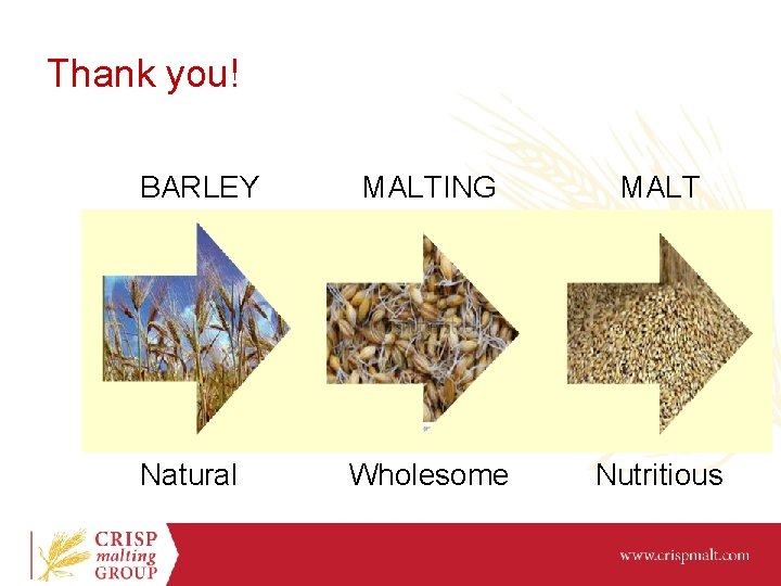 Thank you! BARLEY Natural MALTING MALT Wholesome Nutritious 