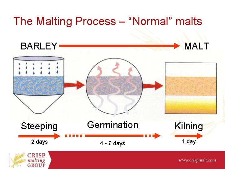 The Malting Process – “Normal” malts MALT BARLEY Steeping Germination Kilning 2 days 4