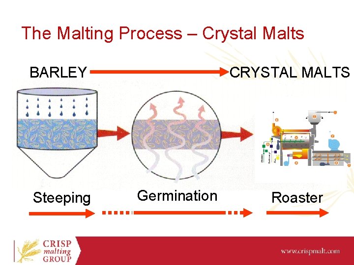 The Malting Process – Crystal Malts BARLEY Steeping CRYSTAL MALTS Germination Roaster 