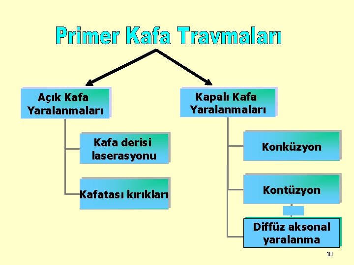 Açık Kafa Yaralanmaları Kapalı Kafa Yaralanmaları Kafa derisi laserasyonu Konküzyon Kafatası kırıkları Kontüzyon Diffüz