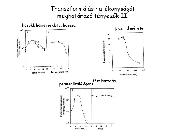 Transzformálás hatékonyságát meghatározó tényezők II. hősokk hőmérséklete, hossza plazmid mérete tárolhatóság permealizáló ágens 