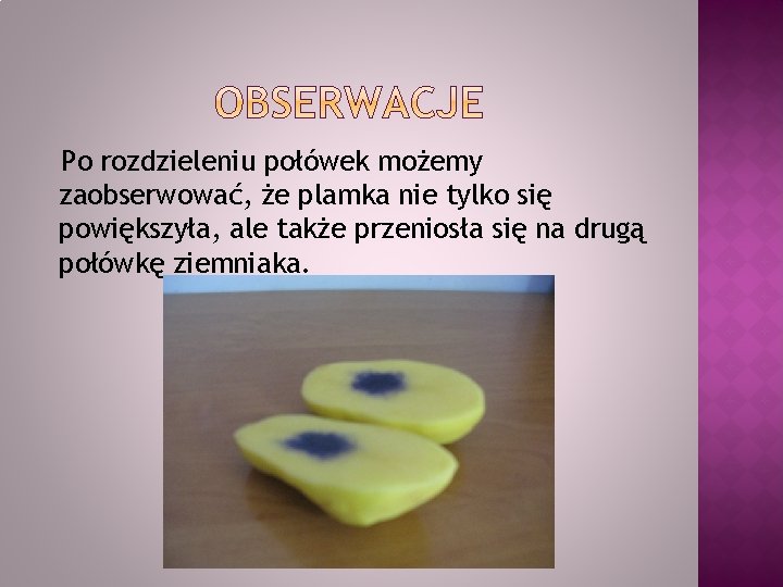 Po rozdzieleniu połówek możemy zaobserwować, że plamka nie tylko się powiększyła, ale także przeniosła