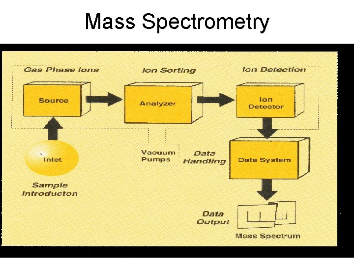 Mass Spectrometry 