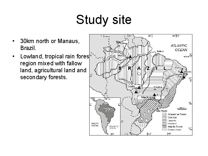 Study site • 30 km north or Manaus, Brazil. • Lowland, tropical rain forest