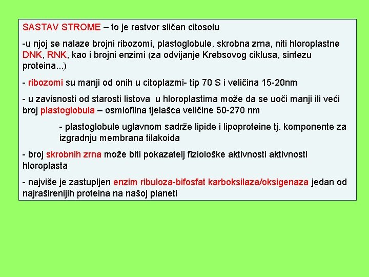 SASTAV STROME – to je rastvor sličan citosolu -u njoj se nalaze brojni ribozomi,