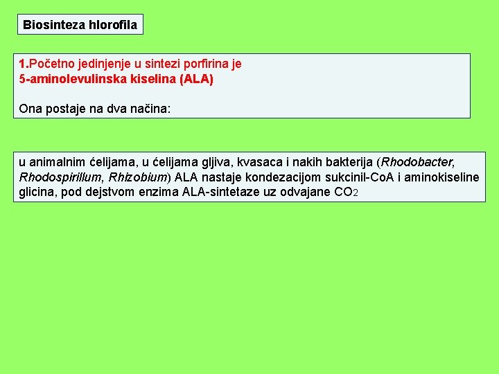 Biosinteza hlorofila 1. Početno jedinjenje u sintezi porfirina je 5 -aminolevulinska kiselina (ALA) Ona