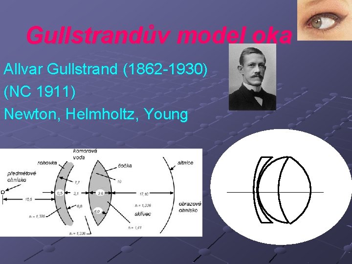Gullstrandův model oka Allvar Gullstrand (1862 -1930) (NC 1911) Newton, Helmholtz, Young 