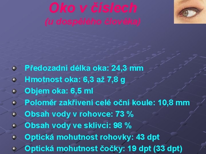 Oko v číslech (u dospělého člověka) Předozadní délka oka: 24, 3 mm Hmotnost oka: