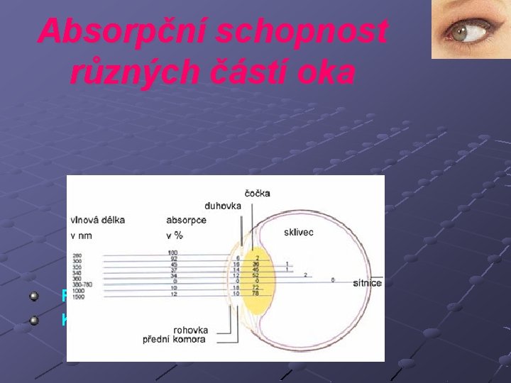 Absorpční schopnost různých částí oka Rohovka : filtr UV ( pod 300 nm) Komorová