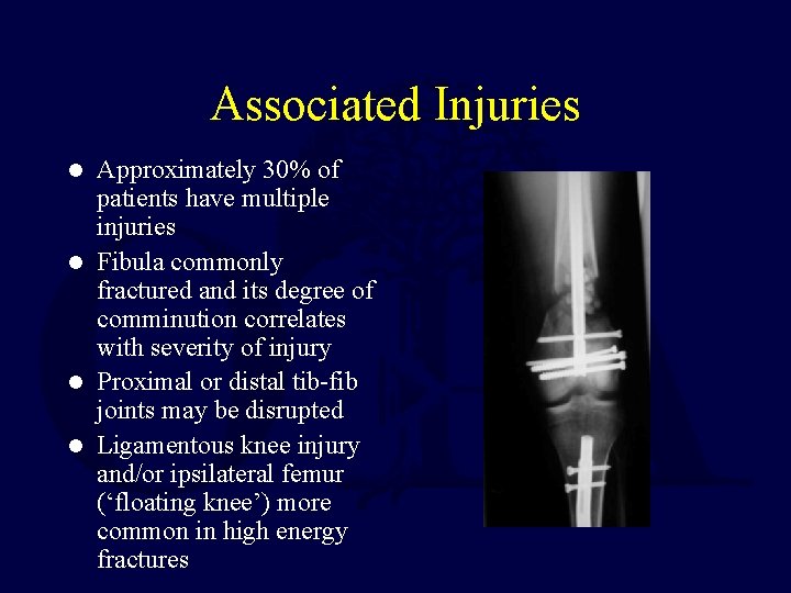 Associated Injuries Approximately 30% of patients have multiple injuries l Fibula commonly fractured and