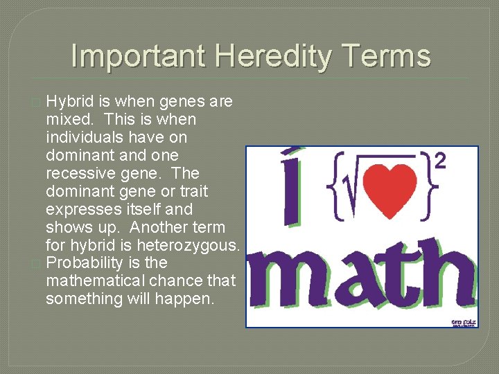Important Heredity Terms Hybrid is when genes are mixed. This is when individuals have