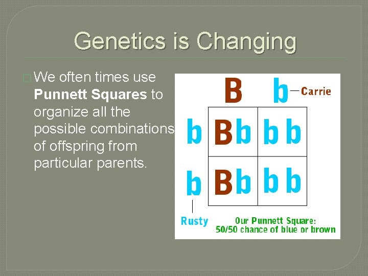 Genetics is Changing � We often times use Punnett Squares to organize all the