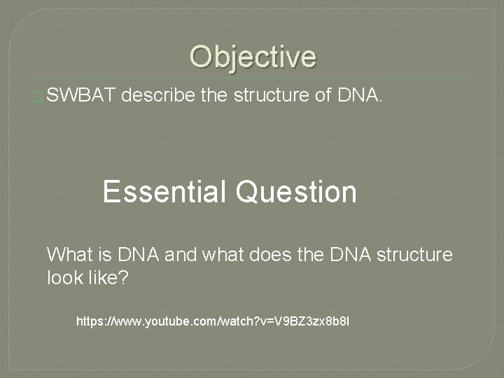 Objective � SWBAT describe the structure of DNA. Essential Question What is DNA and