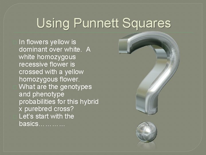 Using Punnett Squares In flowers yellow is dominant over white. A white homozygous recessive