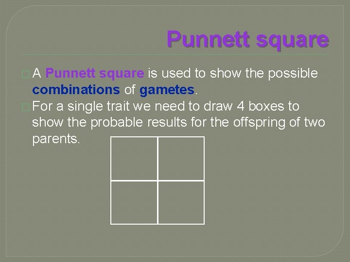 Punnett square �A Punnett square is used to show the possible combinations of gametes.