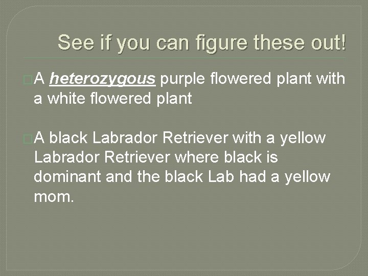 See if you can figure these out! �A heterozygous purple flowered plant with a