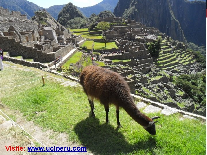 Visite: www. uciperu. com 35 