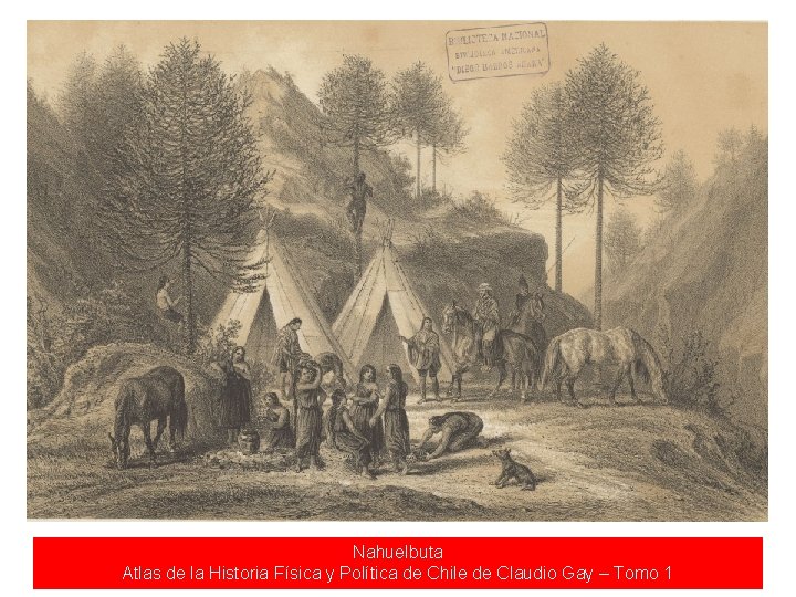Nahuelbuta Atlas de la Historia Física y Política de Chile de Claudio Gay –