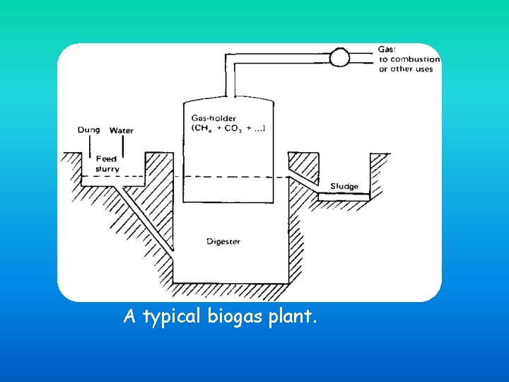 A typical biogas plant. 