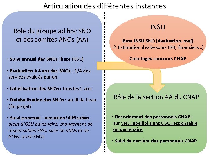 Articulation des différentes instances Rôle du groupe ad hoc SNO et des comités ANOs