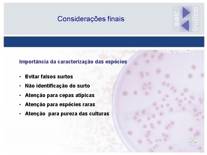 Considerações finais Importância da caracterização das espécies • Evitar falsos surtos • Não identificação