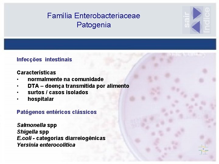 Família Enterobacteriaceae Patogenia Infecções intestinais Características • normalmente na comunidade • DTA – doença