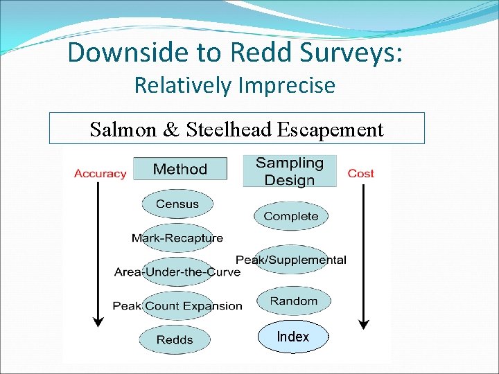 Downside to Redd Surveys: Relatively Imprecise Salmon & Steelhead Escapement Index 