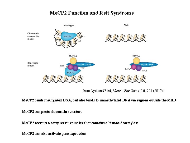 Me. CP 2 Function and Rett Syndrome from Lyst and Bird, Nature Rev. Genet.