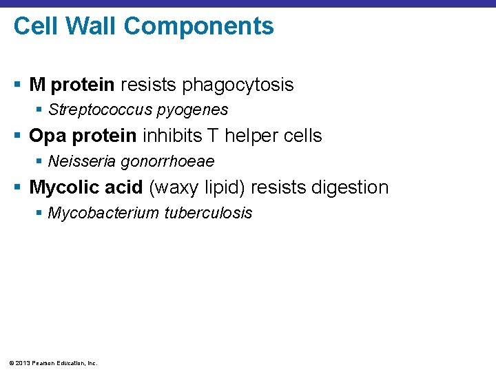 Cell Wall Components § M protein resists phagocytosis § Streptococcus pyogenes § Opa protein