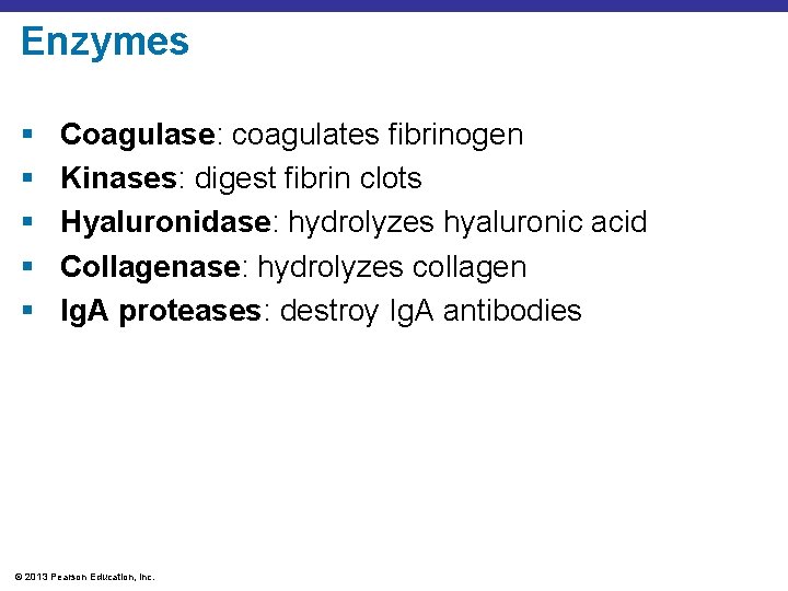 Enzymes § § § Coagulase: coagulates fibrinogen Kinases: digest fibrin clots Hyaluronidase: hydrolyzes hyaluronic