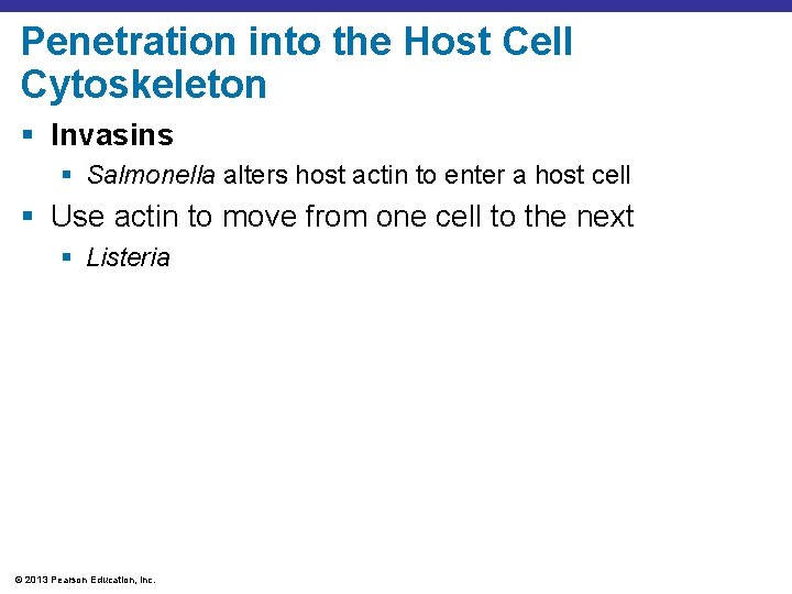 Penetration into the Host Cell Cytoskeleton § Invasins § Salmonella alters host actin to