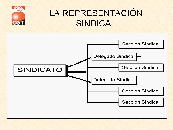 LA REPRESENTACIÓN SINDICAL LA REPRESENTACIÓN SINDICAL