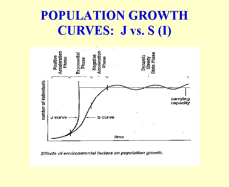 POPULATION GROWTH CURVES: J vs. S (I) 
