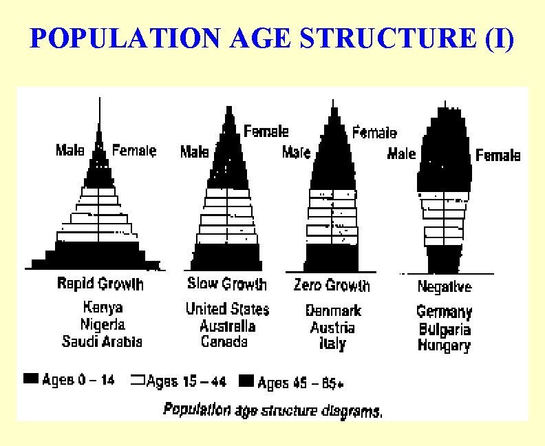 POPULATION AGE STRUCTURE (I) 