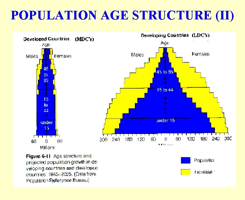 POPULATION AGE STRUCTURE (II) 