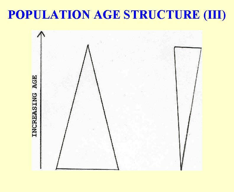 POPULATION AGE STRUCTURE (III) 