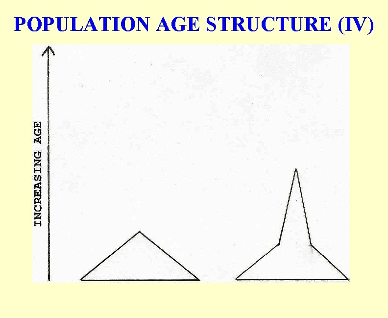 POPULATION AGE STRUCTURE (IV) 