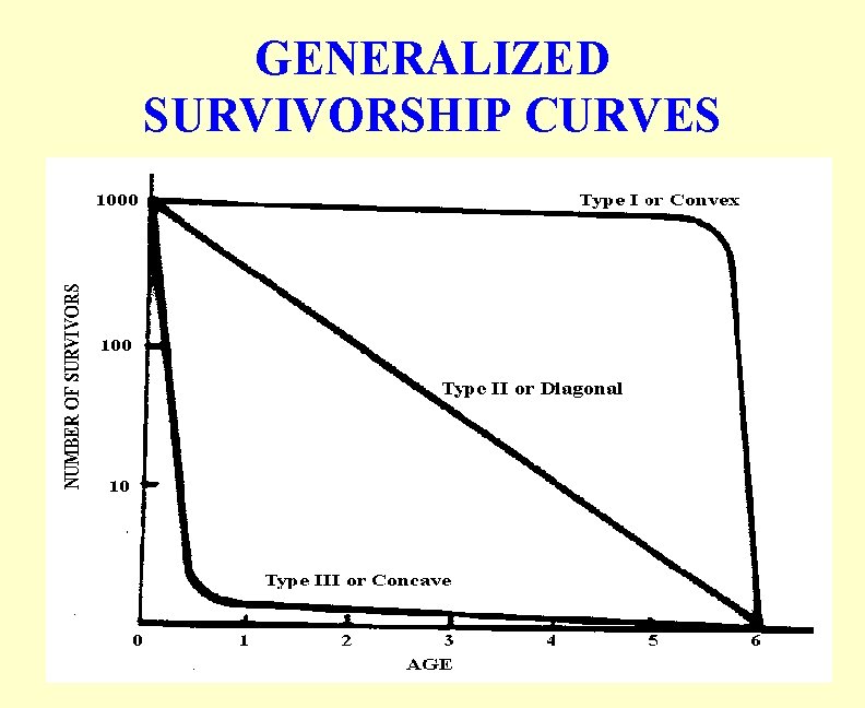 GENERALIZED SURVIVORSHIP CURVES 