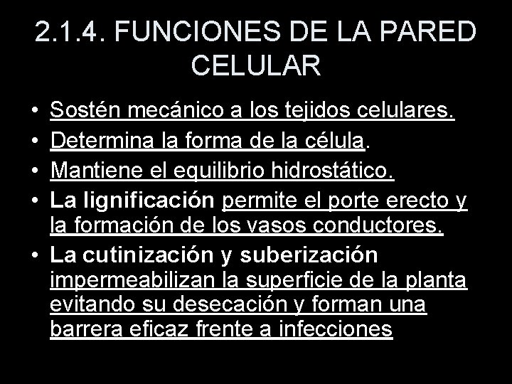 2. 1. 4. FUNCIONES DE LA PARED CELULAR • • Sostén mecánico a los